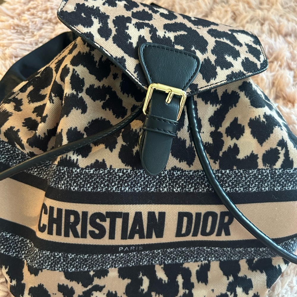 Christian Dior backpack